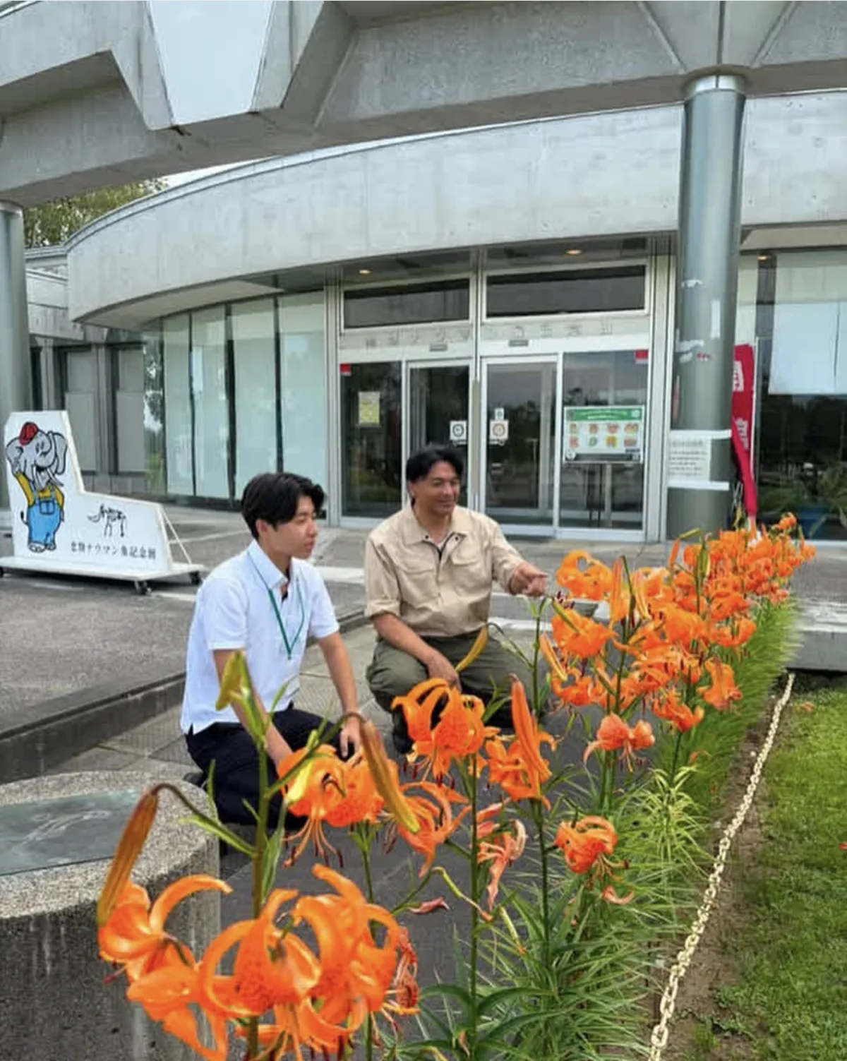 忠類ナウマン象記念館前でクルマユリを見る協力隊インターンと職員。